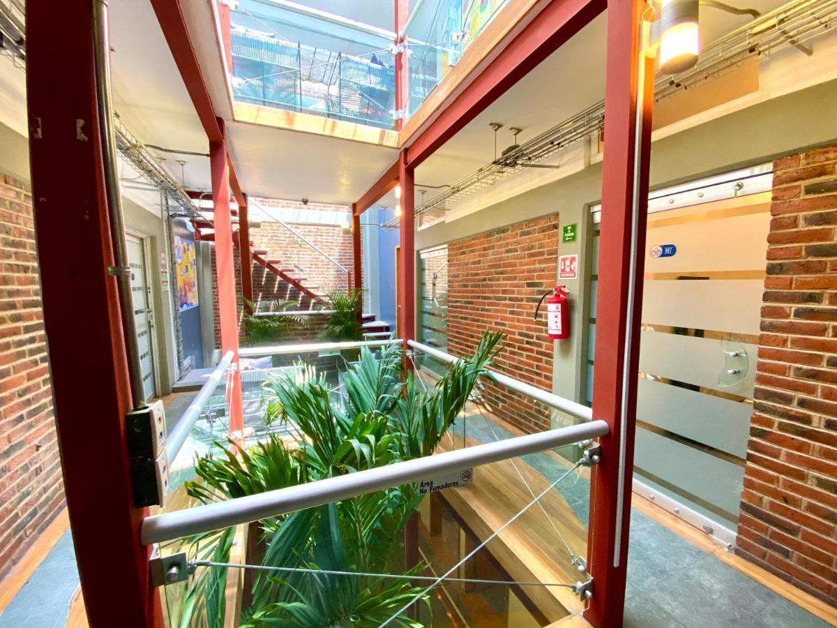 Roomies Hostel Reforma-El Angel مدينة مكسيكو المظهر الخارجي الصورة